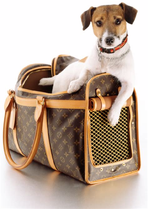 Animali: ecco la Louis Vuitton Pet Carrier 